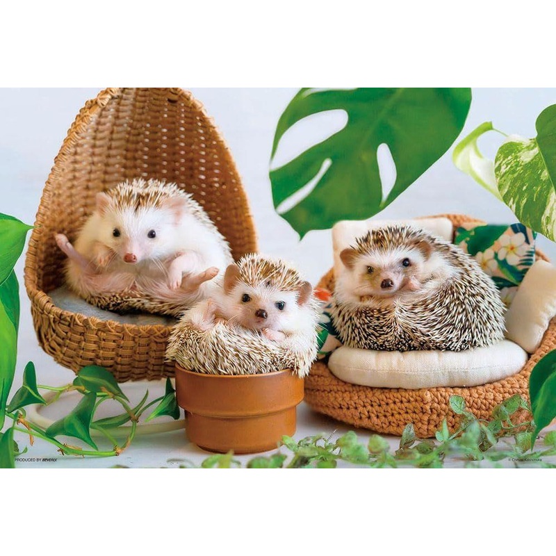 Jigsaw Puzzle The Happy Time of a Hedgehog (300 Pieces)