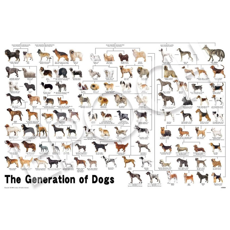 Jigsaw Puzzle A Dog’s Family Tree 12-625 (1000 Pieces)