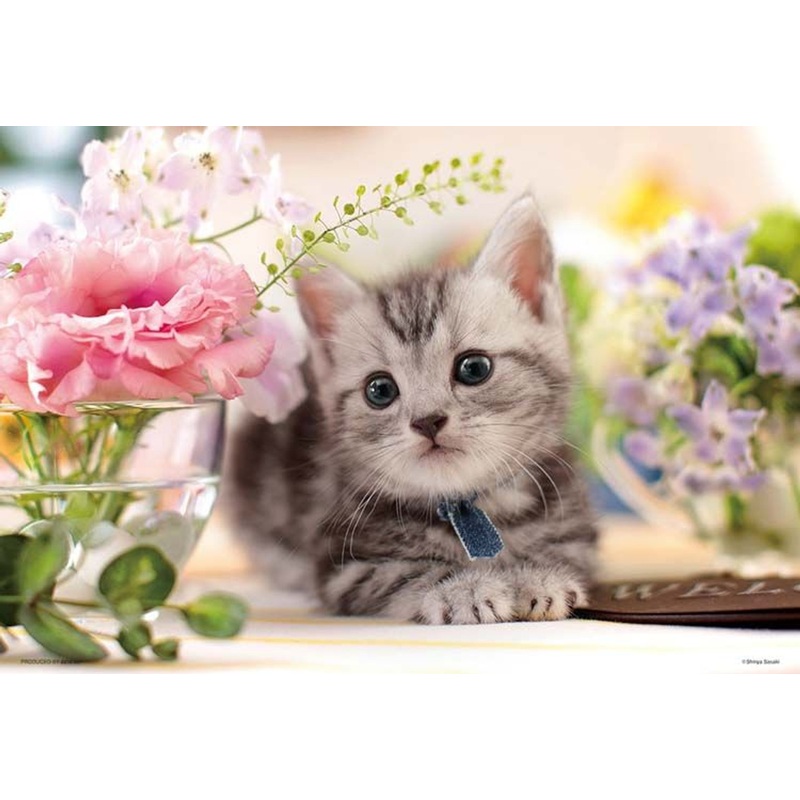 Beverly 1000M-008 Jigsaw Puzzle A Smell of Happiness – Adorable Kitten (1000 S-Pieces)