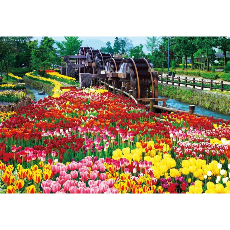Beverly Jigsaw Puzzle 51-198 Japanese Scenery Tonami Tulip Park (1000 Pieces)
