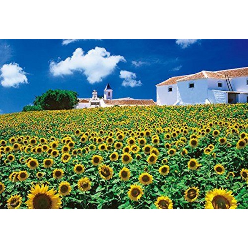 Beverly Jigsaw Puzzle M81-853 Andalucia Sunflower (1000 S-Pieces)
