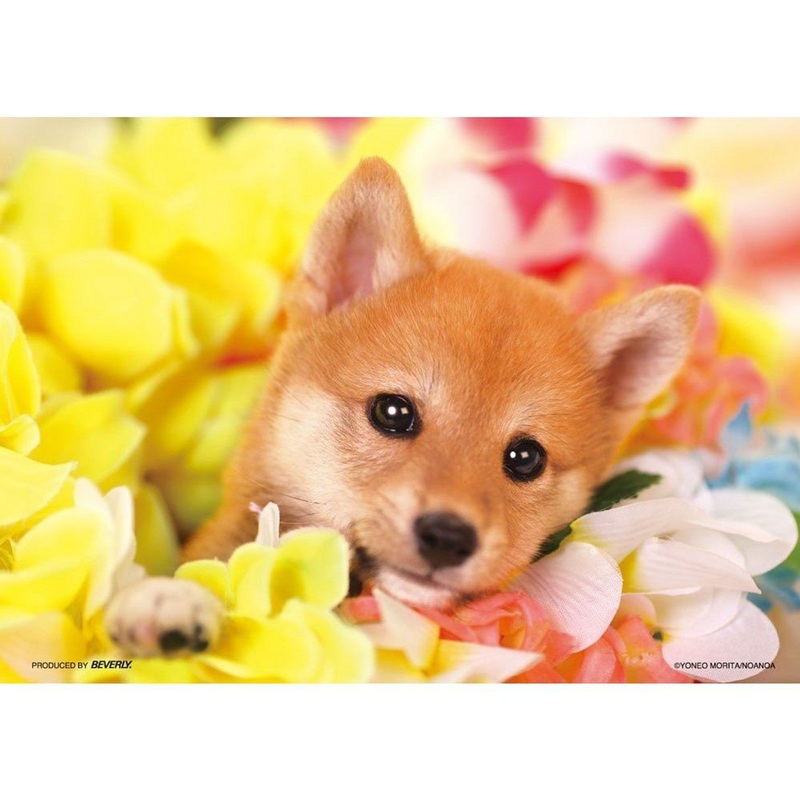 Beverly Jigsaw Puzzle P64-103 Dog (108 Pieces)