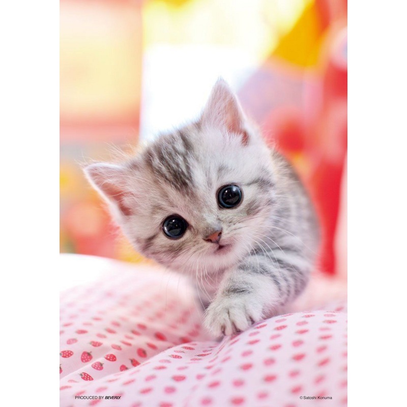 Beverly Jigsaw Puzzle P88-017 Lovely Cat (88 L-Pieces)