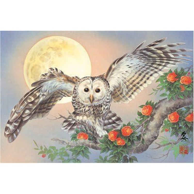 Appleone 300-170 Jigsaw Puzzle Fukurou (Kozuma Kaname) (300 Pieces)