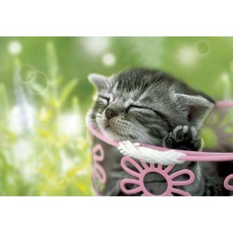 Epoch Jigsaw Puzzle 01-042 Cat Sleeping In The Sun (108 Pieces)