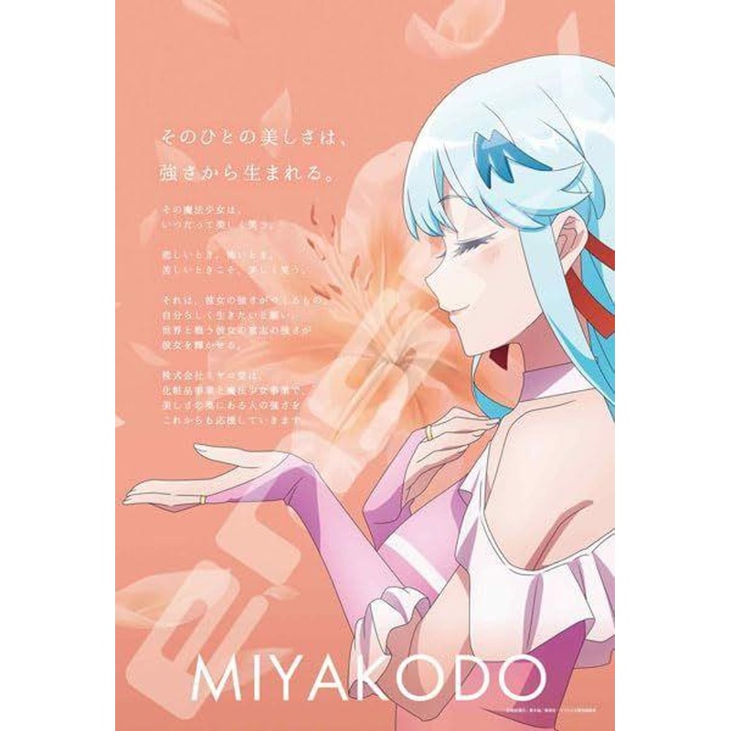 Ensky Jigsaw Puzzle Miyakodo Co. Ltd. (300 Pieces)