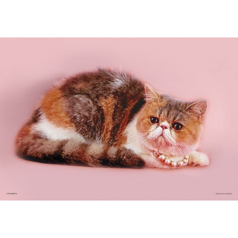 Yanoman Jigsaw Puzzle 01-2056 Busakawa Alice Osumashi (108 L-Pieces)