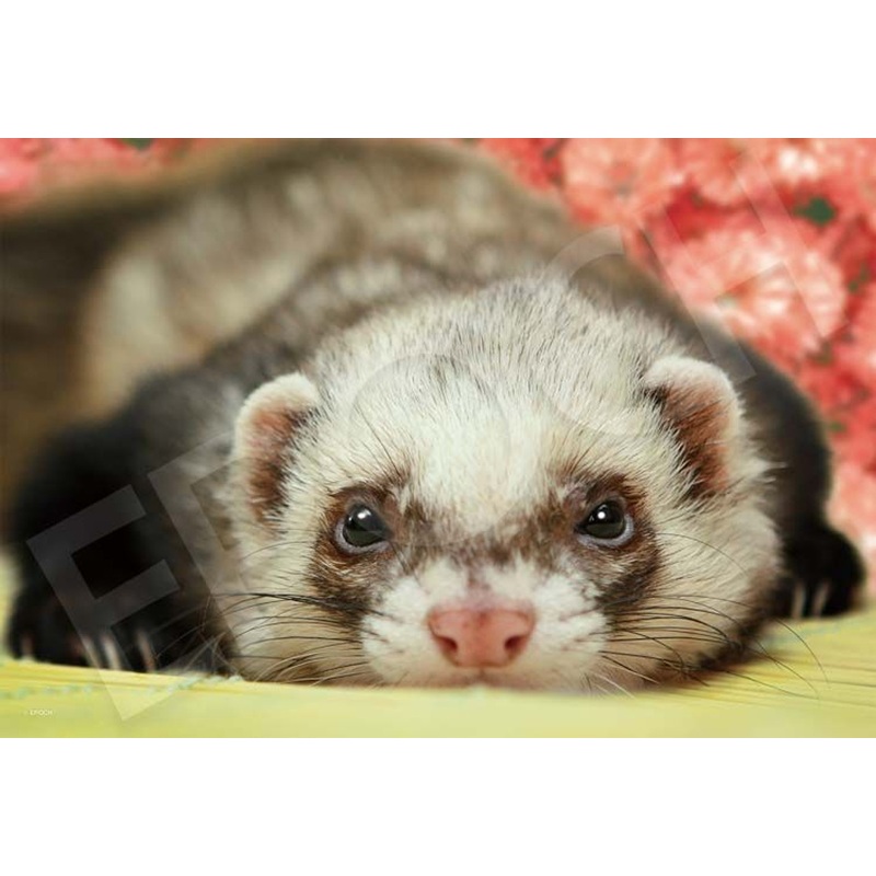 Epoch 28-829s Jigsaw Puzzle Ferret (300 Pieces)