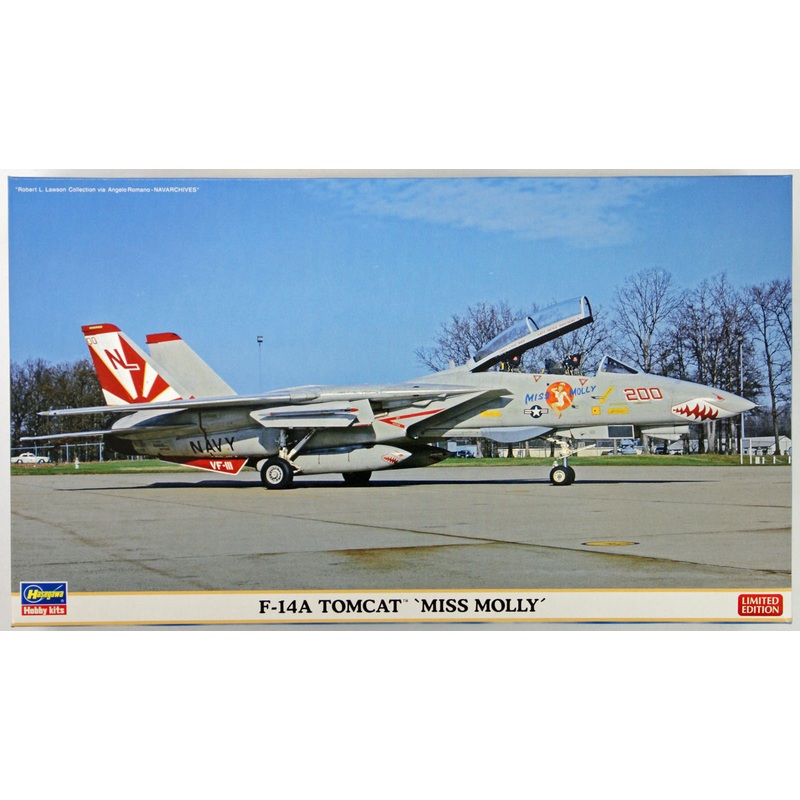 Hasegawa 02123 F-14A Tomcat Miss Molly 1/72 Scale Kit