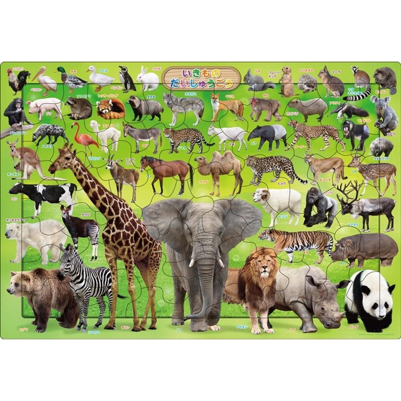 Apollo-sha 25-230 Jigsaw Puzzle Collection of Animals (63 Pieces) Child Puzzle