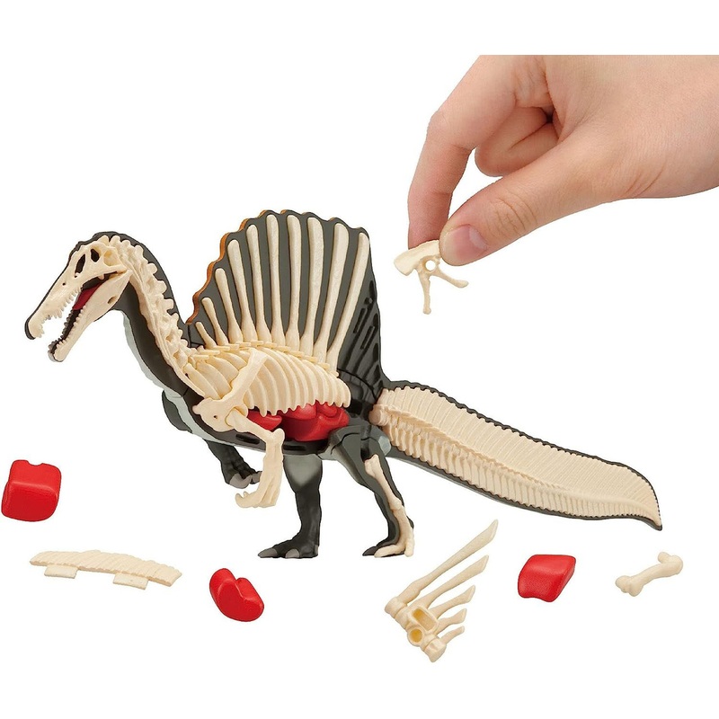 Megahouse 3D Anatomy Puzzle Spinosaurus