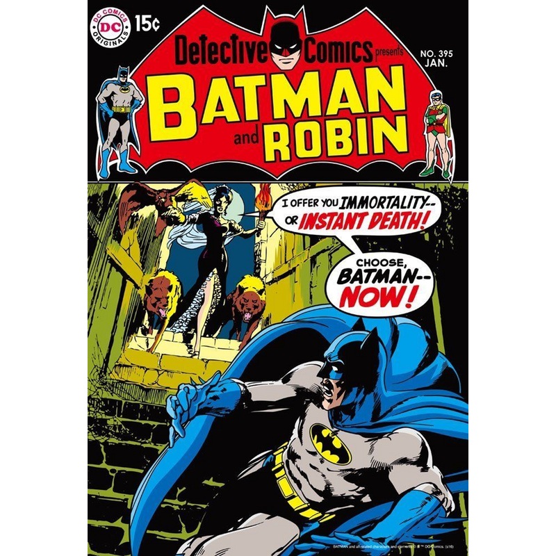 Beverly Jigsaw Puzzle 83-079 BATMAN and ROBIN (300 Pieces)