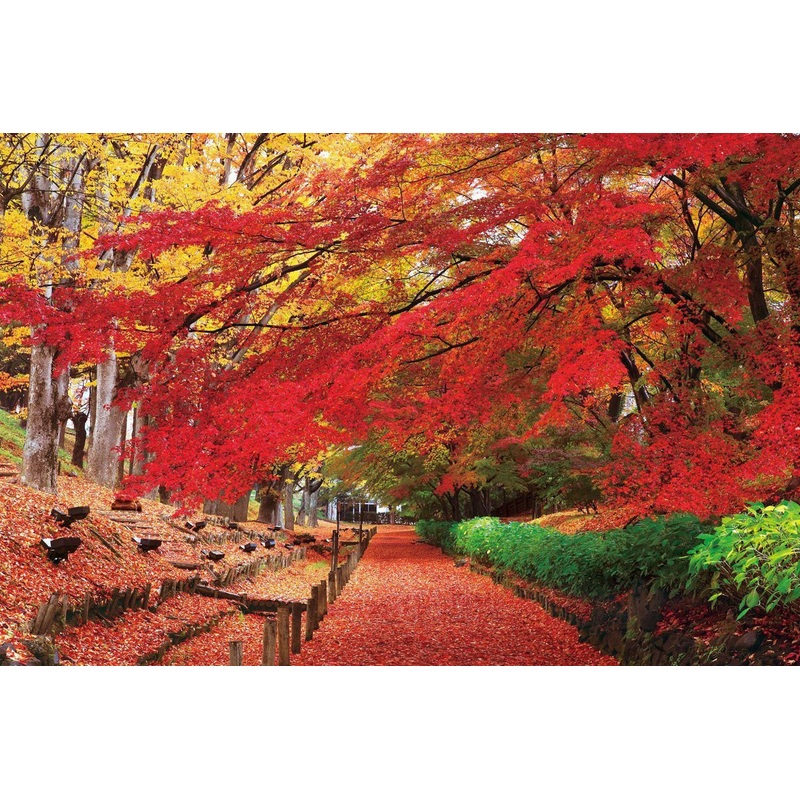 Epoch Jigsaw Puzzle 23-595 Japanese Scenery Ueda Castle Park Nagano (2016 S-Pieces)