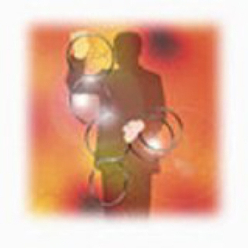 Tenyo Japan 130261 CHINESE LINKING RINGS LARGE (Magic Trick)