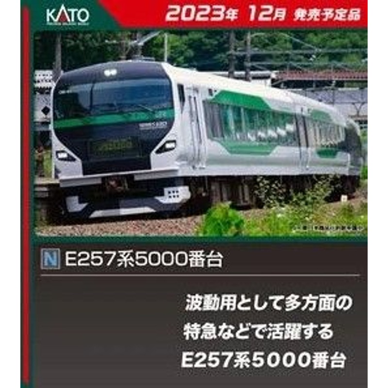 Kato 10-1883 Series E257-5000 9 Cars Set (N scale)