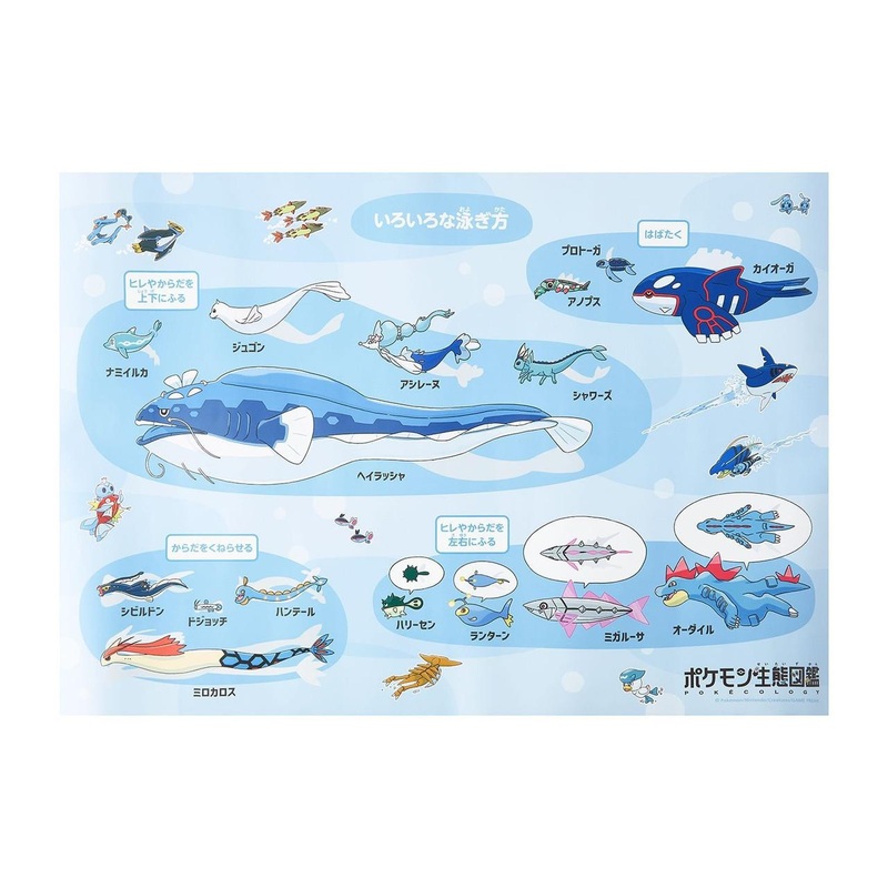 Pokemon Center Original Bath Poster Pokemon Ecology Encyclopedia