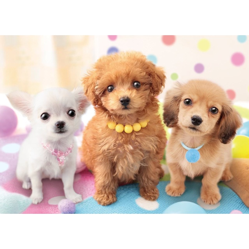 Epoch Jigsaw Puzzle 05-102 Pet Dog Chihuahua Toy Poodle Dachshund (500 Pieces)