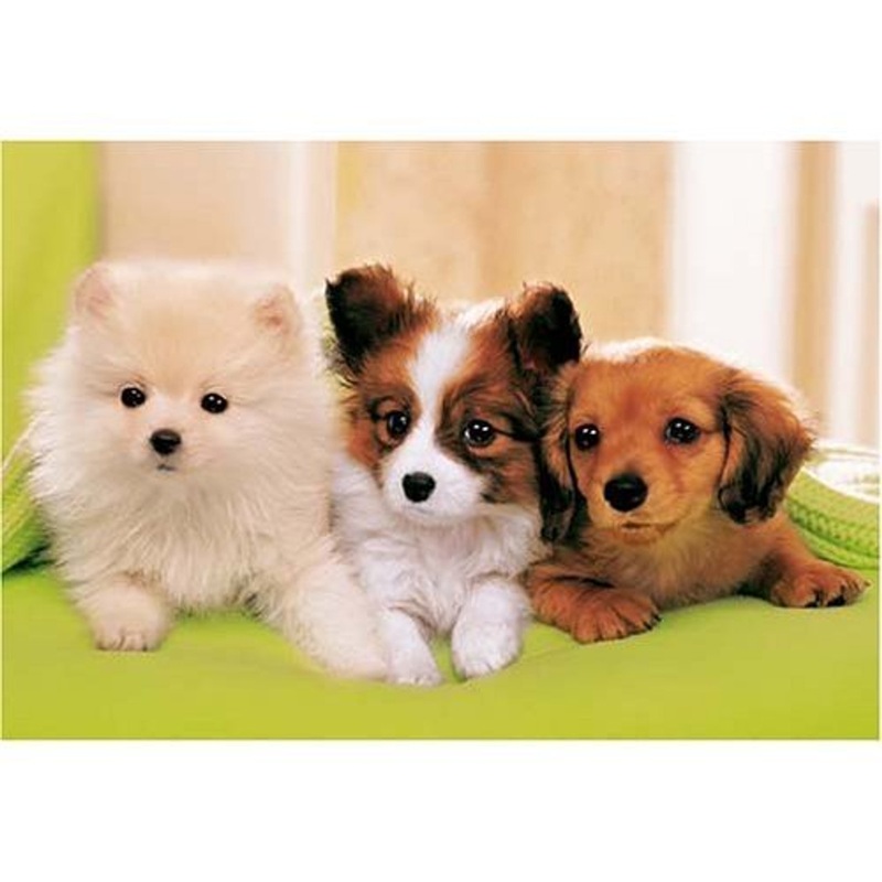 Epoch Jigsaw Puzzle 25-038S Three Dogs (300 Pieces)
