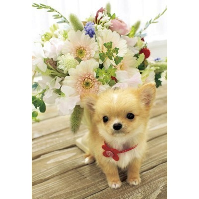 Epoch Jigsaw Puzzle 08-547 Dog (450 S-Pieces)