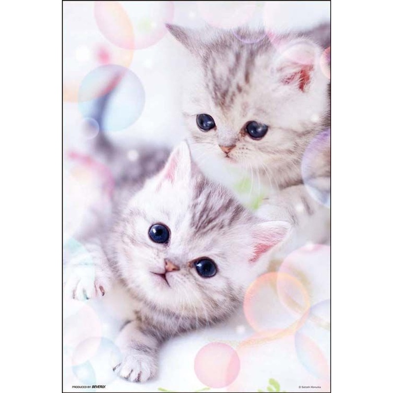 Beverly 300-035 Jigsaw Puzzle Fluffy meow (300 Pieces)