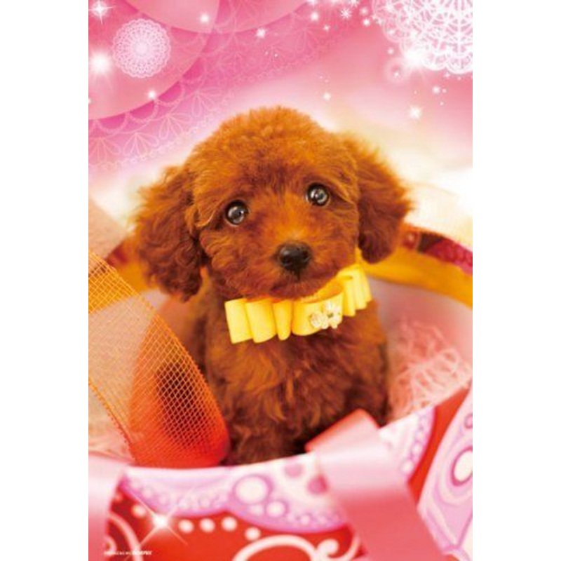 Beverly Jigsaw Puzzle P33-084 PRETTY PET Poodle (300 Pieces)