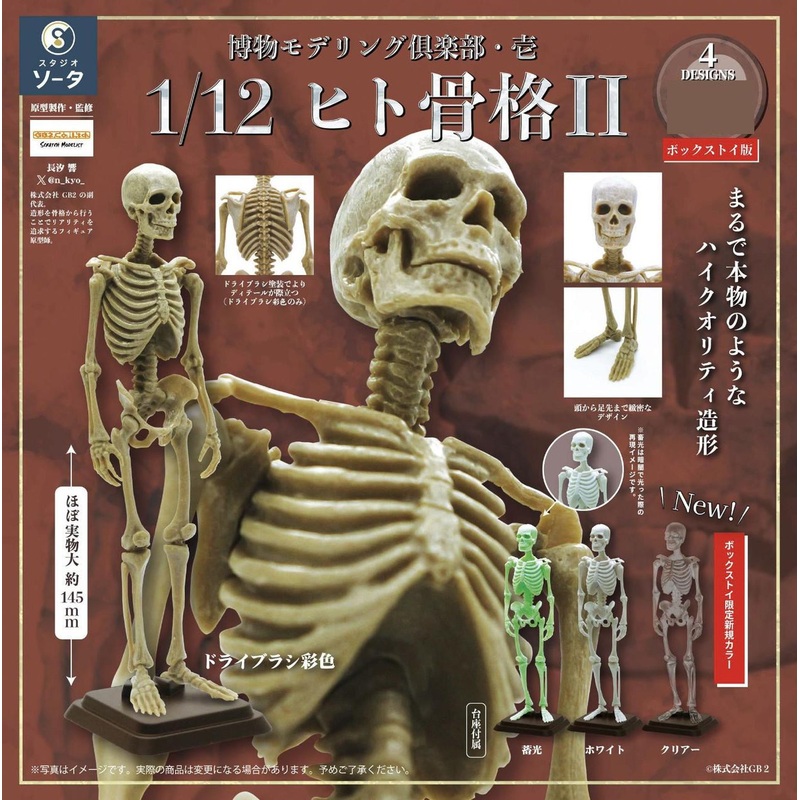 SO-TA 1/12 Natural History Modeling Club Ichi Human Skeleton II 4pcs BOX