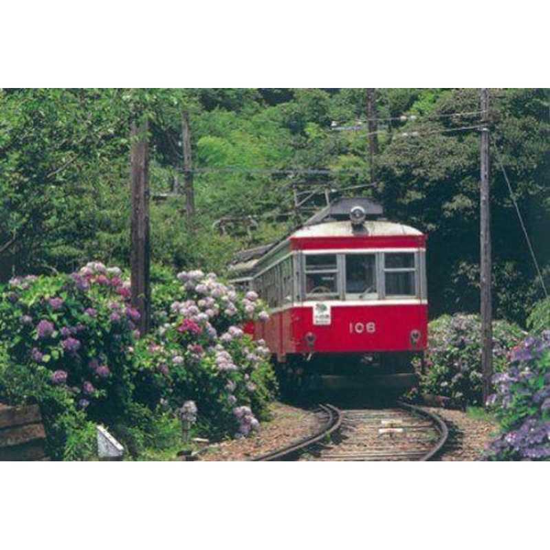 Yanoman Jigsaw Puzzle Hydrangeas and Mountain Climbing Train (204 Pieces)