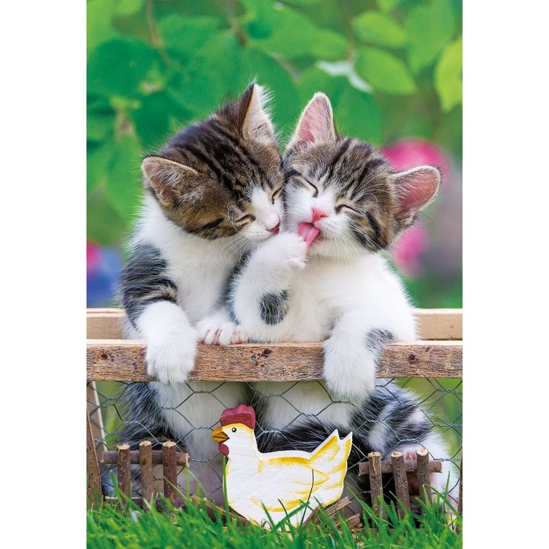 Apollo-sha Jigsaw Puzzle 48-646 Pet Lovely Cat (300 Pieces)