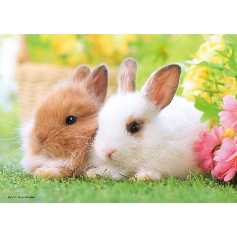 Jigsaw Puzzle Sunny Bunny (108 Pieces)