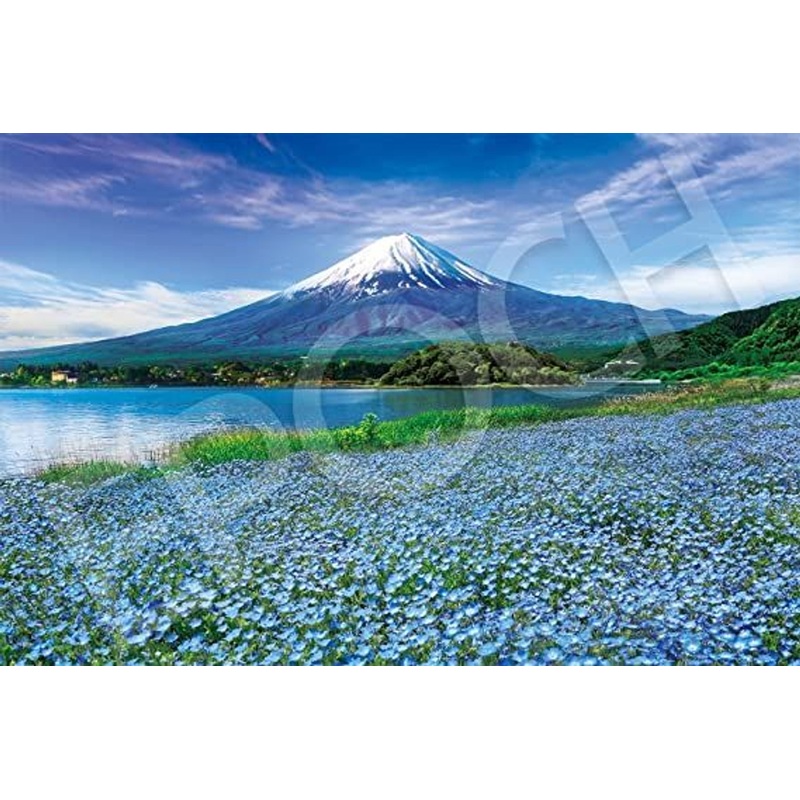 Epoch 09-040s Jigsaw Puzzle Baby Blue Eyes Flower Blooming in Fuji Yamanashi (Scenery) (1000 Pieces)