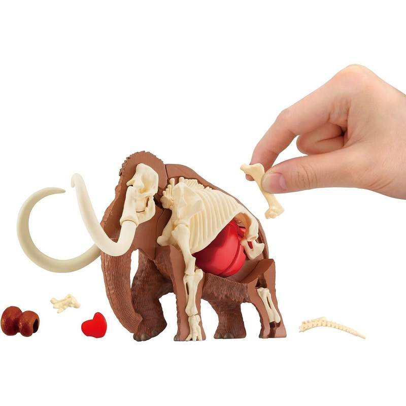 Megahouse 3D Anatomy Puzzle Mammoth