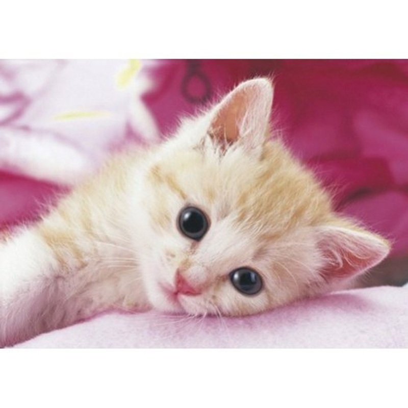 Epoch Jigsaw Puzzle 04-521 Cat (216 S-Pieces)