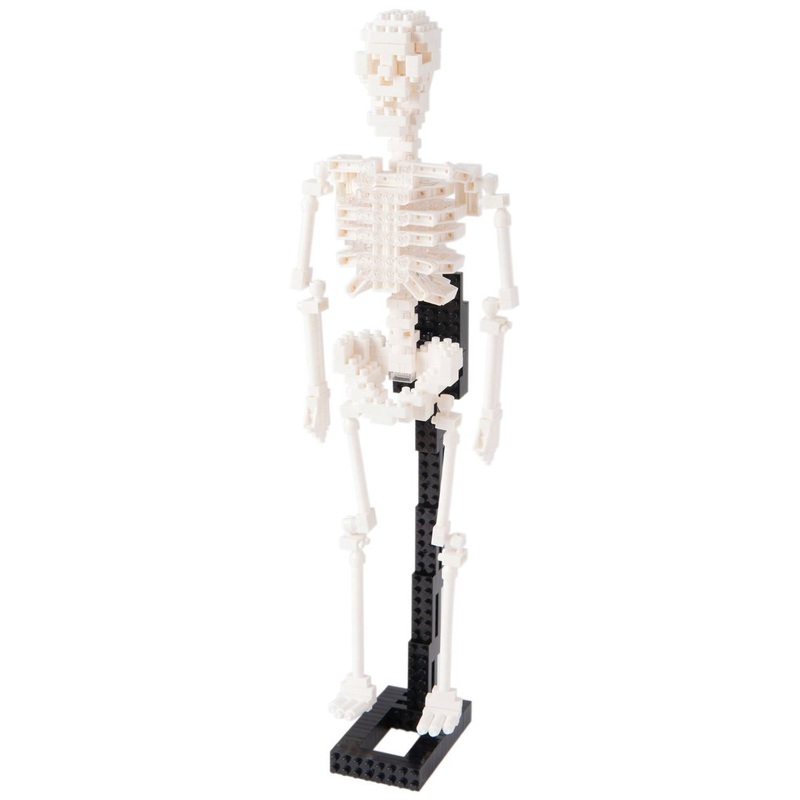 Kawada NBM-014 nanoblock Human Skeleton