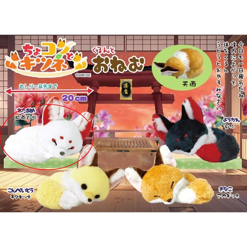 Amuse Chokon To Kitsune Kurunto Onemu Stuffed Toy Wataame