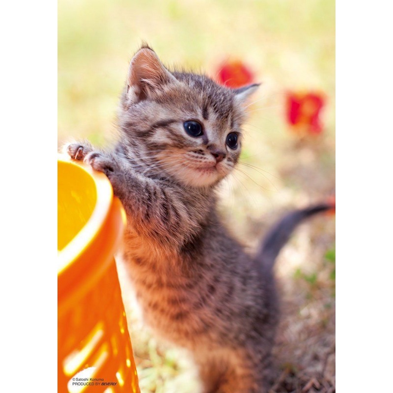 Beverly Jigsaw Puzzle P88-016 Lovely Cat (88 L-Pieces)