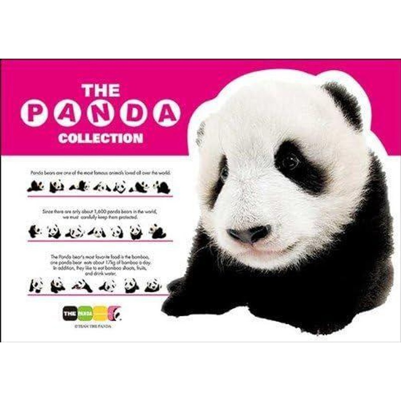 Appleone 108-072 Jigsaw Puzzle The Panda Cassis (108 Pieces)