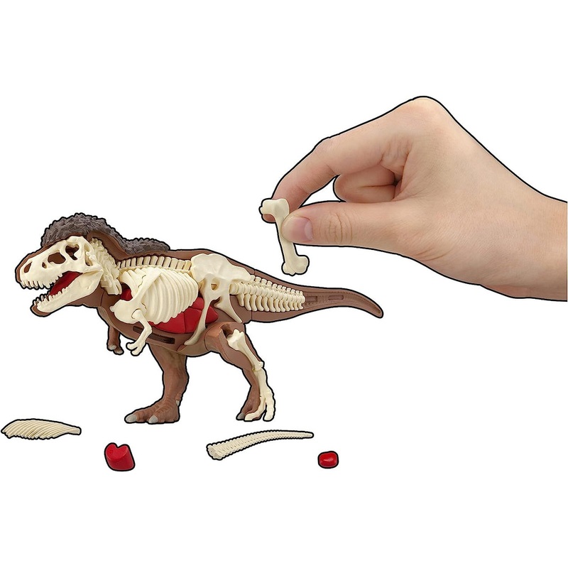 Megahouse 3D Anatomy Puzzle Tyrannosaurus T-Rex