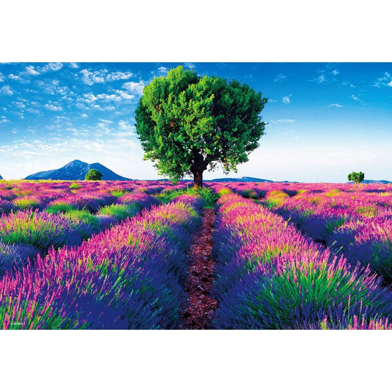 Beverly Jigsaw Puzzle M81-849 Beautiful Scenery Provence France (1000 S-Pieces)