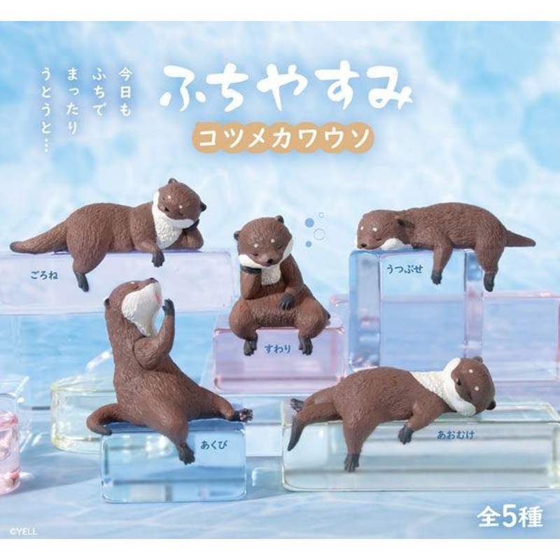 YELL Fuchiyasumi Small-clawed Otter (10 pack box)