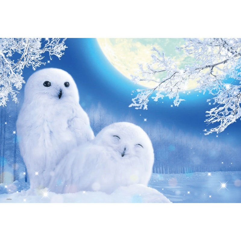 Beverly Jigsaw Puzzle M81-545 White Owl (1000 S-Pieces)