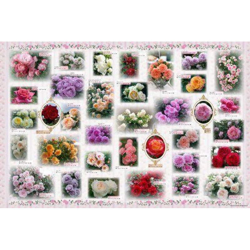 Epoch 76-012 Jigsaw Puzzle Rose Collection (2500 Pieces)