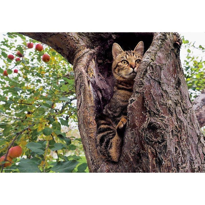 Epoch 26-261 Jigsaw Puzzle Aim to be a puzzle master! – Naughty Ricky Mitsuaki Iwago’s Cat (300 Pieces)