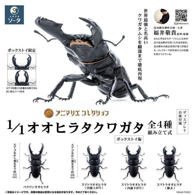 SO-TA Animalier Collection 1/1 Giant Stag Beetle Figure 4pcs Complete Box