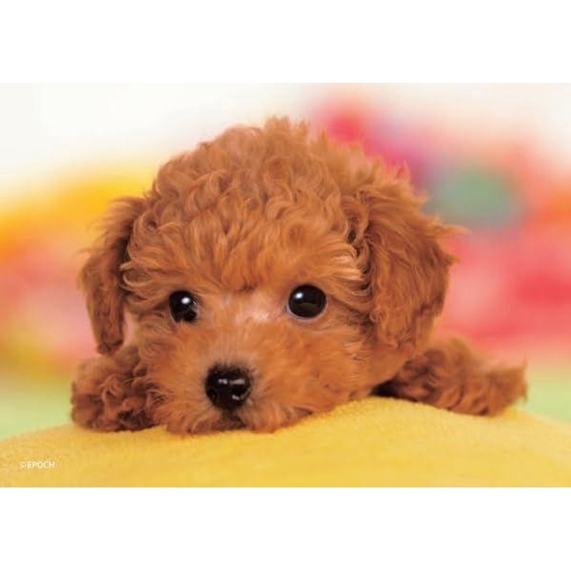 Jigsaw Puzzle Aren’t you going to play? 03-095 (108 Pieces)