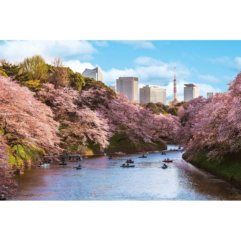 Yanoman Jigsaw Puzzle Cherry Blossom Viewing at Chidorigafuchi in Tokyo (1000 Pieces)