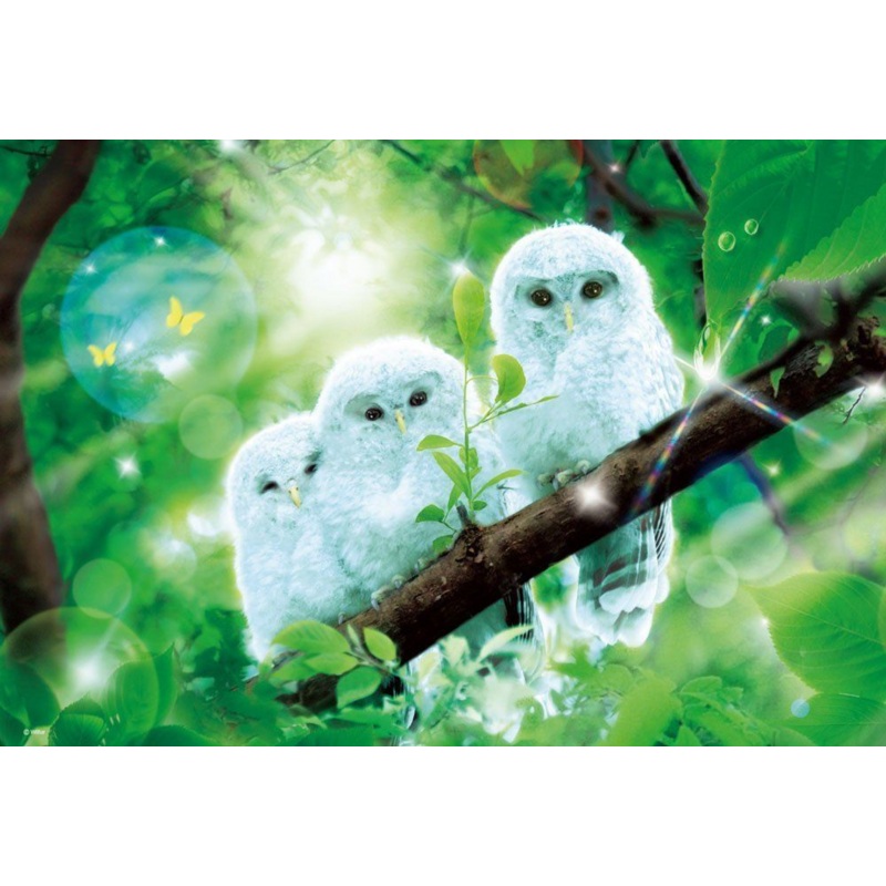 Beverly Jigsaw Puzzle M81-534 Fantasy Art Owls (1000 S-Pieces)