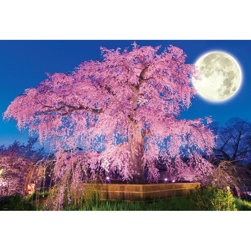Beverly Jigsaw Puzzle 51-227 Japanese Scenery Cherry Blossoms in Maruyama Park Kyoto (1000 Pieces)