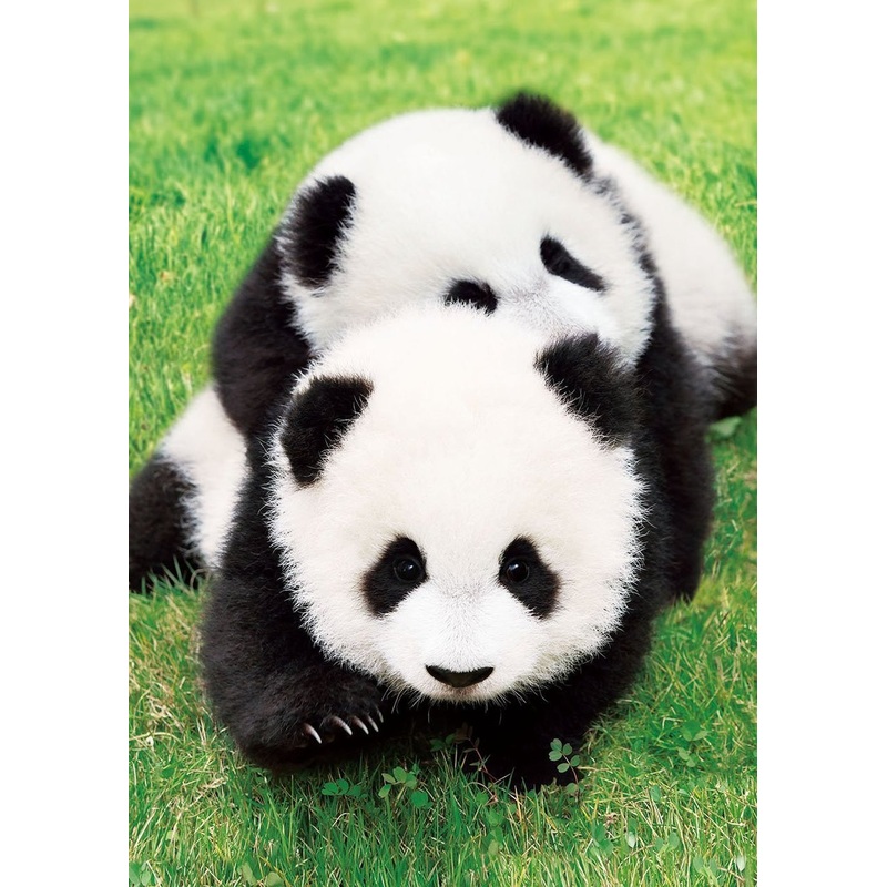 Epoch Jigsaw Puzzle 01-060 Good Friends Panda (108 Pieces)