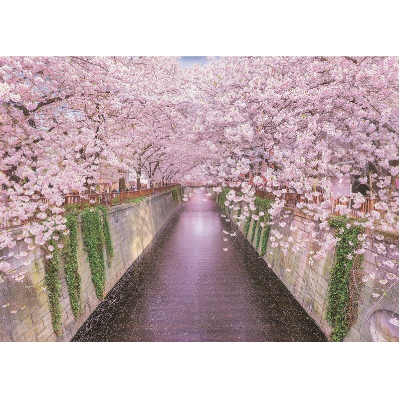 Epoch Jigsaw Puzzle 05-111 Meguro River Sakura Cherry Blossoms Japan (500 Pieces)