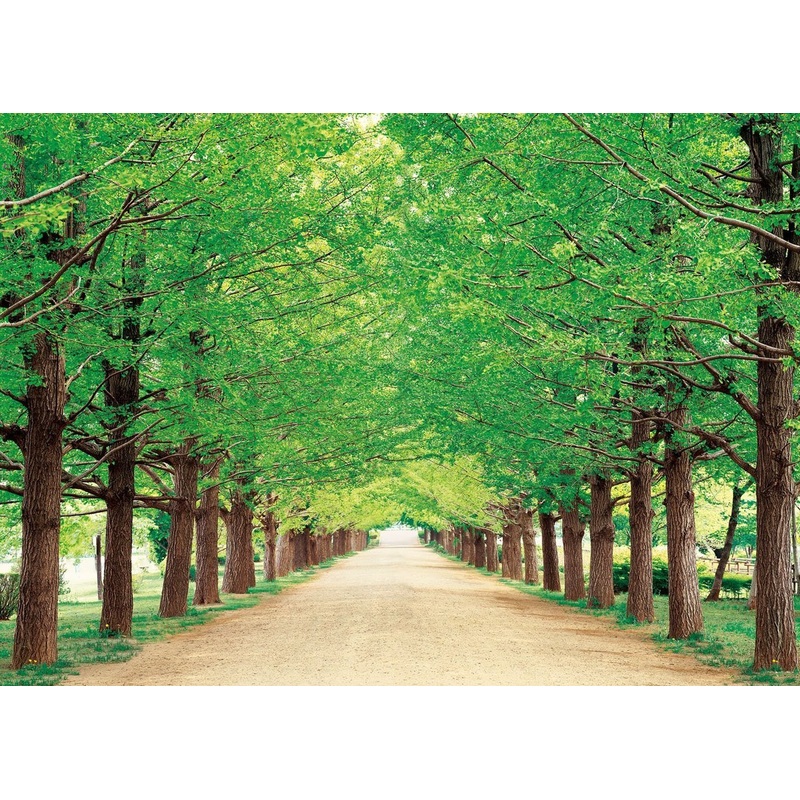 Epoch Jigsaw Puzzle 05-107 Green Path Tokyo Japan (500 Pieces)